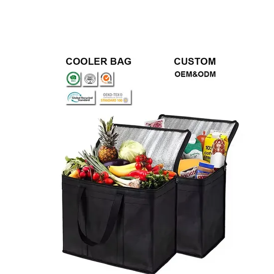 Custom Logo Portable Picnic Insulation Bag Cooler Lunch Thermal Bag