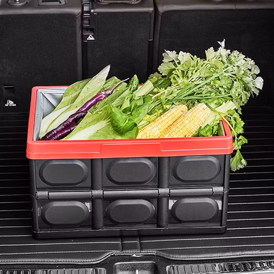 Organizador dobrável para armazenamento de porta-malas de carro com tampa